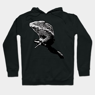 Chameleon dark Hoodie